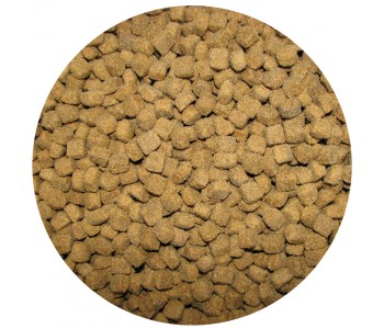 My Dog Energy 20kg